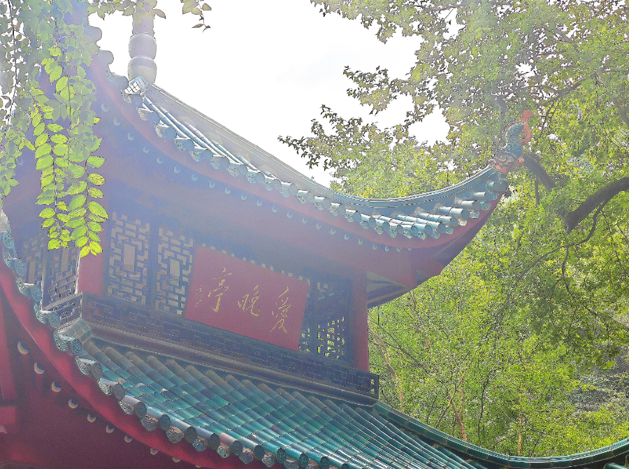 三年前，在手机上认识一个女的，聊过几次，她叫我去见她，当时我在广州番禹，她在中山