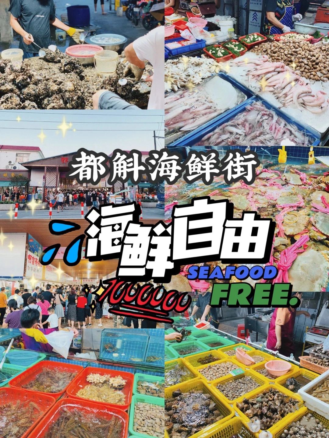 江门台山吃喝玩乐|帮你实现海鲜自由🦪～