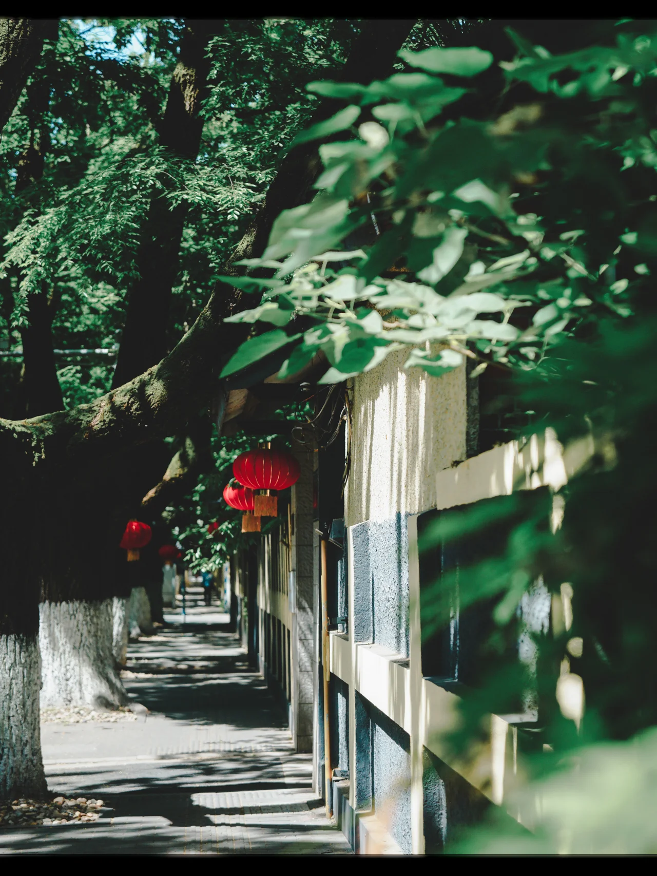 南京｜重走颐和路，原来是学生时代不懂欣赏