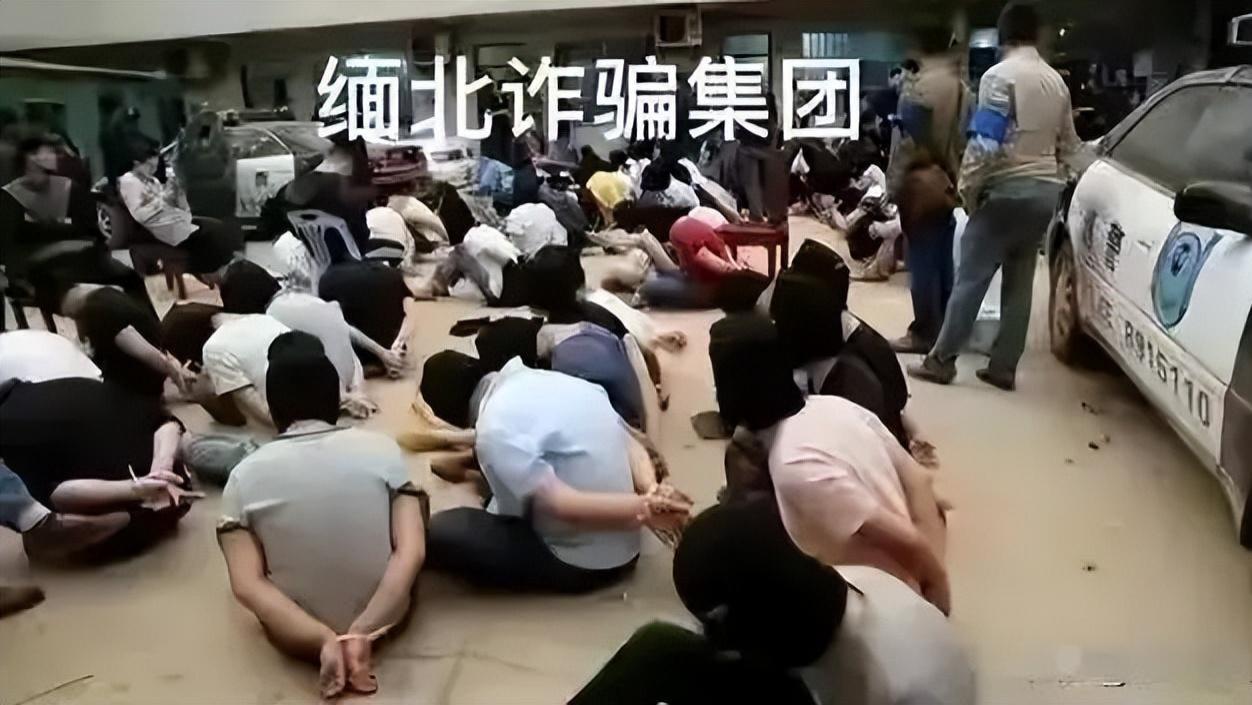 大快人心，国家外交部发声，缅甸诈骗分子将在劫难逃！