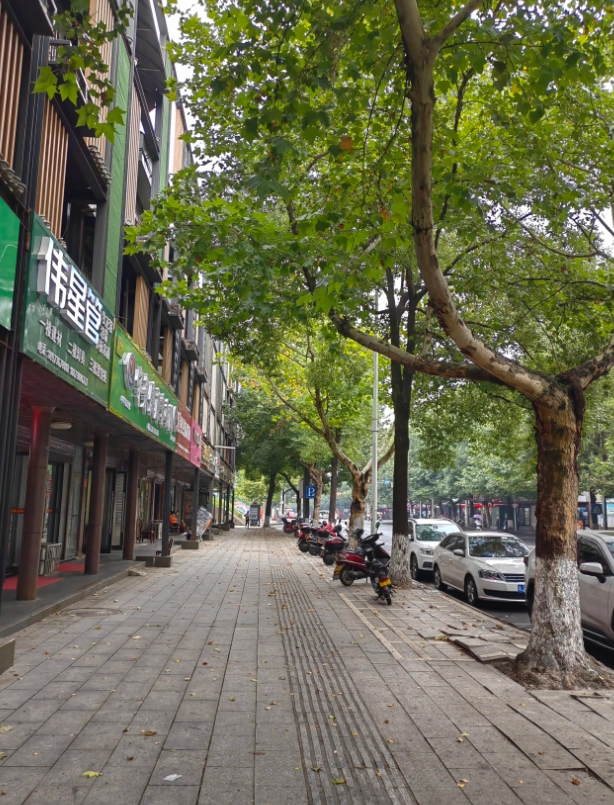 今年，我的3个朋友，从“中产阶级”变成了“无产阶级”，资产缩水90％以上，可敬的