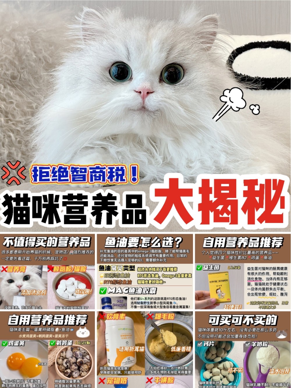 猫咪营养品揭秘#猫咪有必要吃营养膏吗#