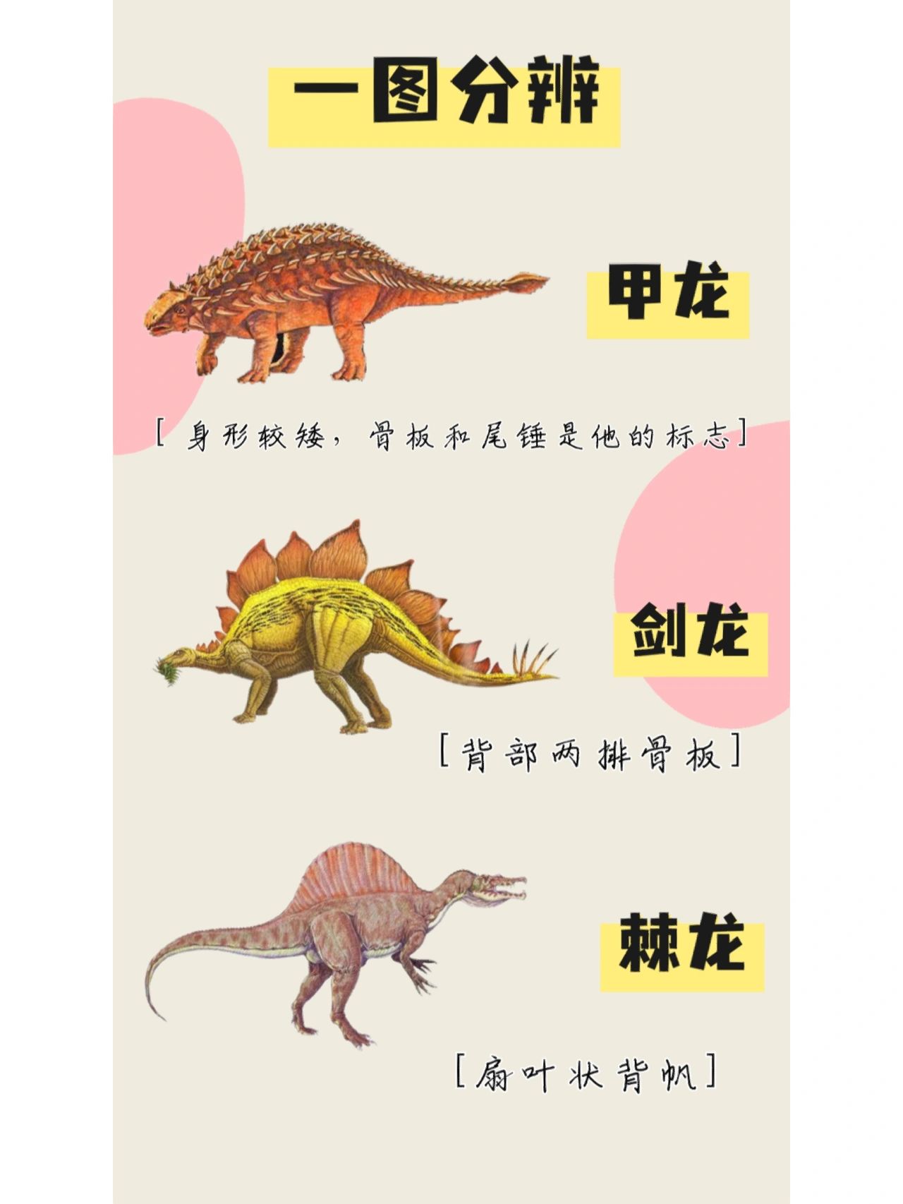 常见恐龙种类都有哪些？#恐龙种类#