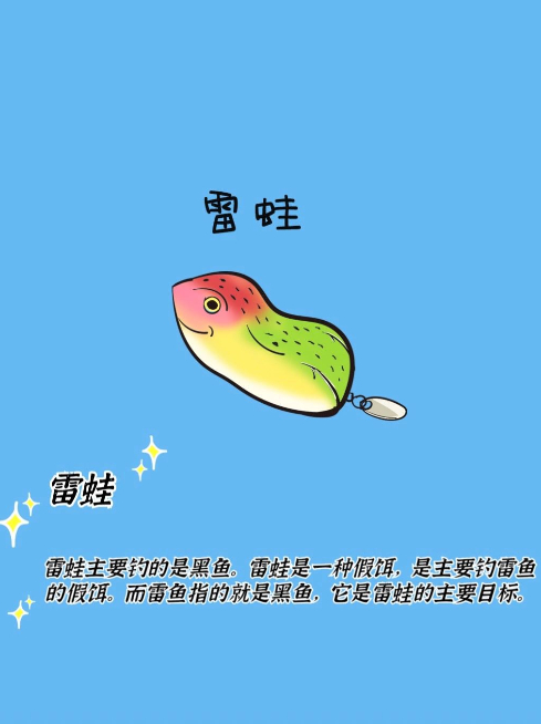 路亚初体验｜我的路亚饵插画