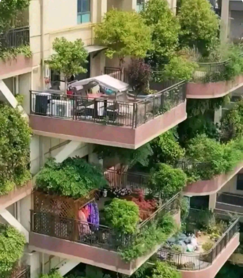 搞阳台花园，我没意见，甚至还会举双手赞成！

我也喜欢没事的时候，养上一些花花草
