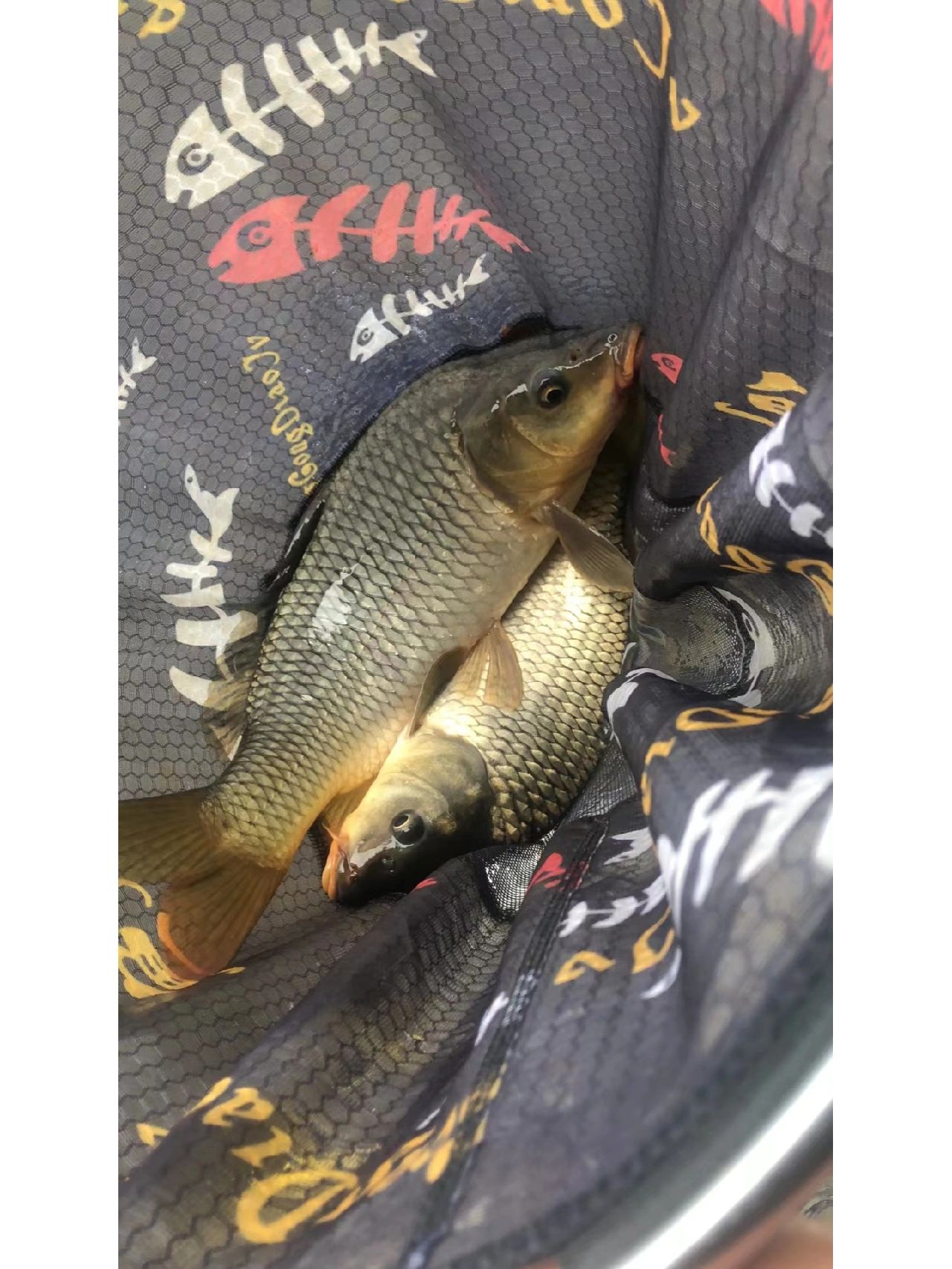 筏钓的关键性技巧，从鱼钩开始！