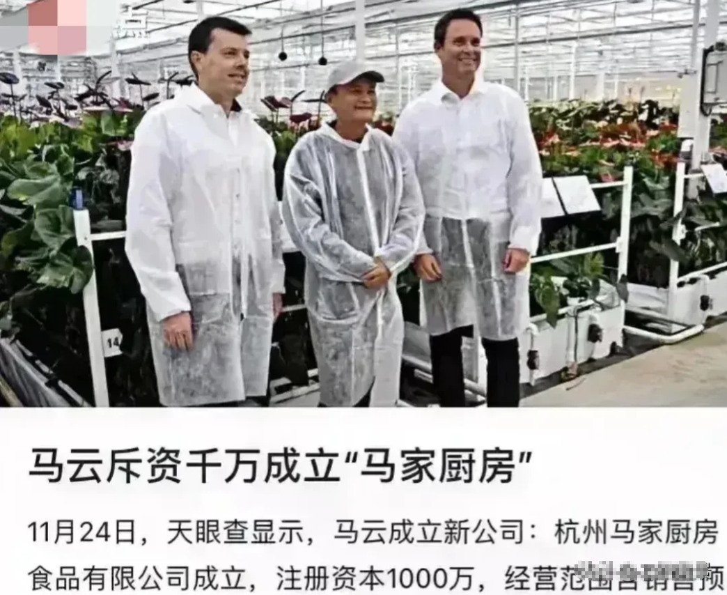 很可惜！马云终于活成了他自己不喜欢的样子：富的只剩下钱了。
其实以马云的经济实力