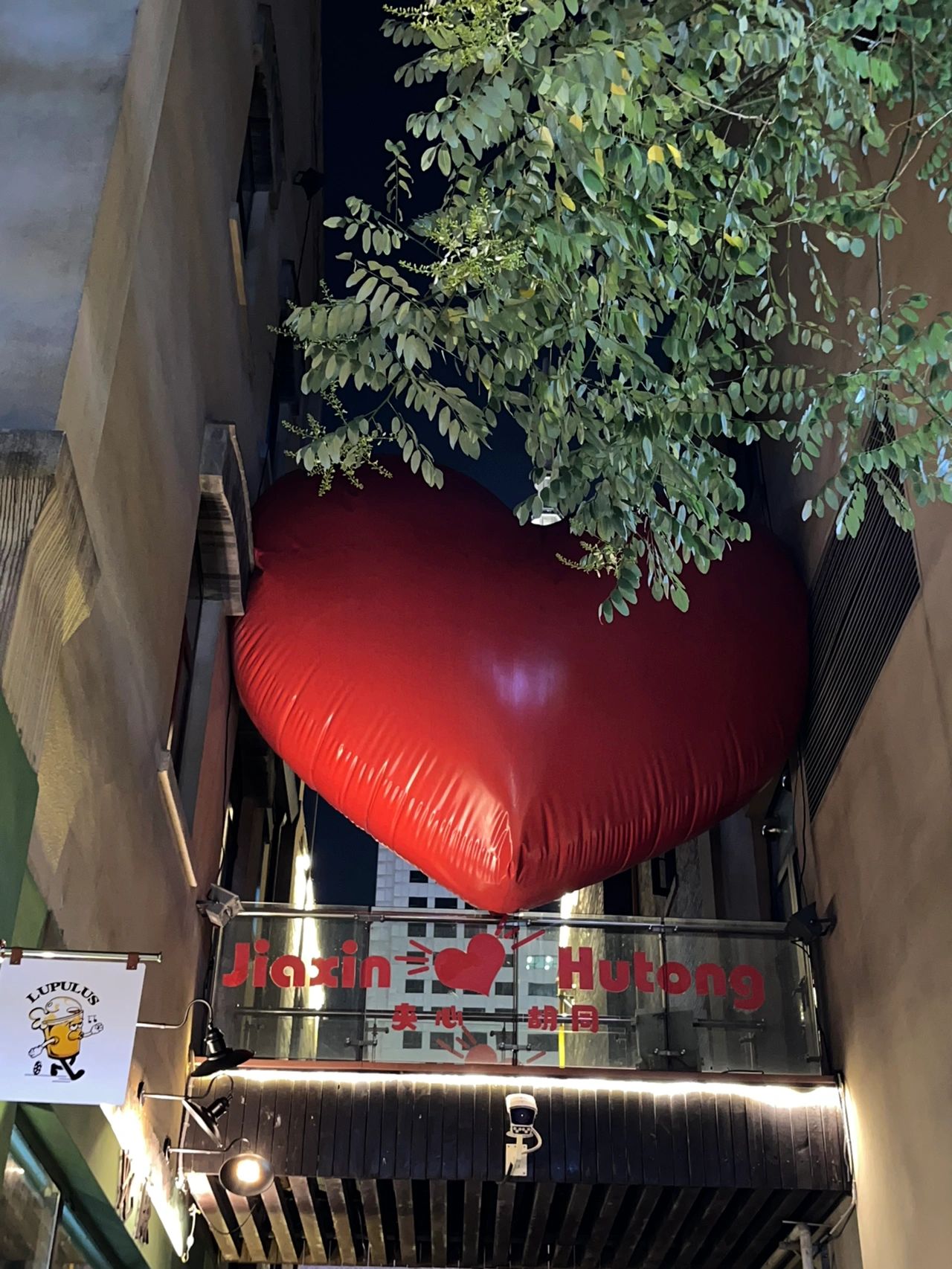 济南经三路打卡📸（含小tips）