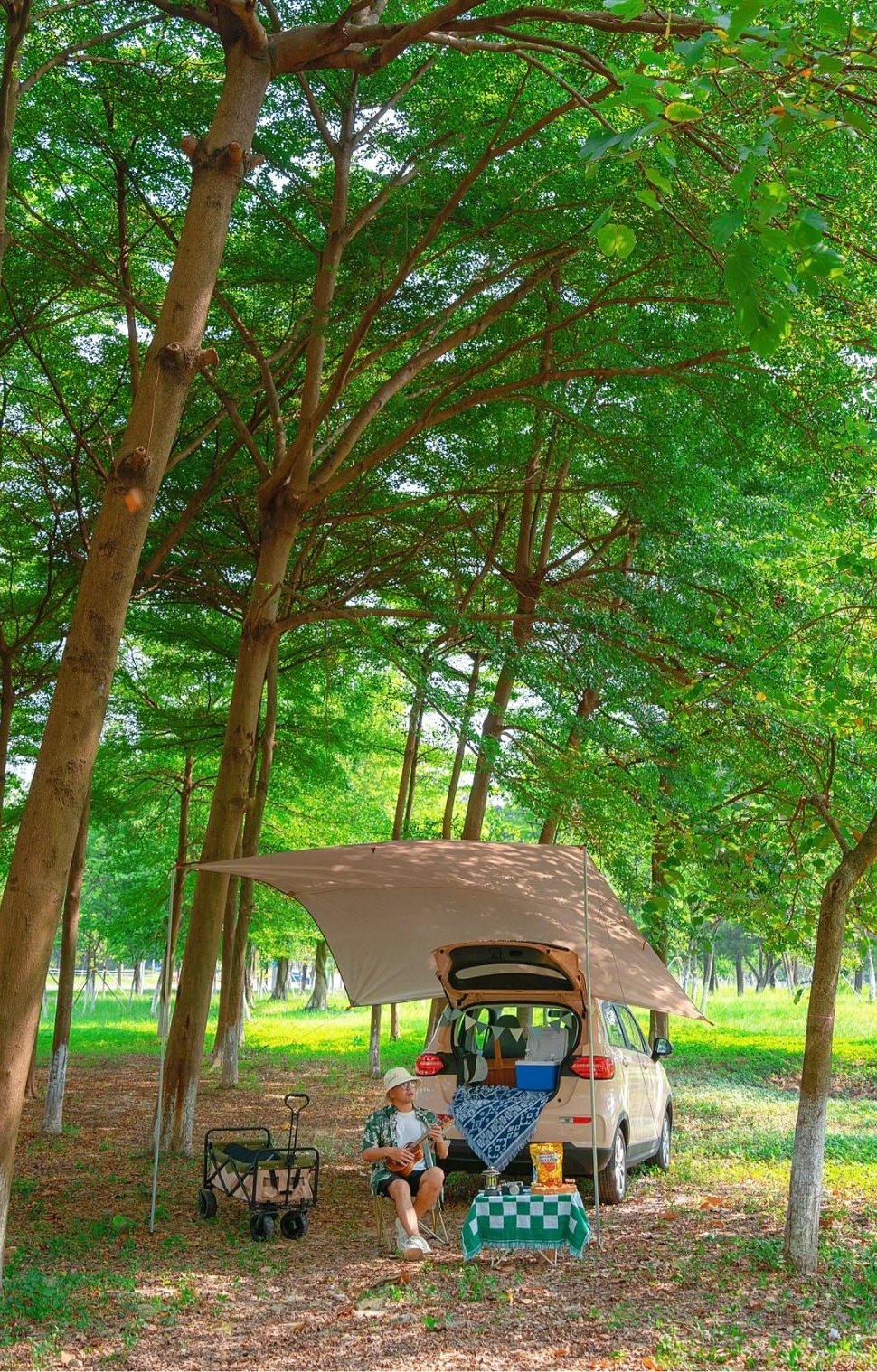 又发现广州小众露营地，下午茶走起🍉