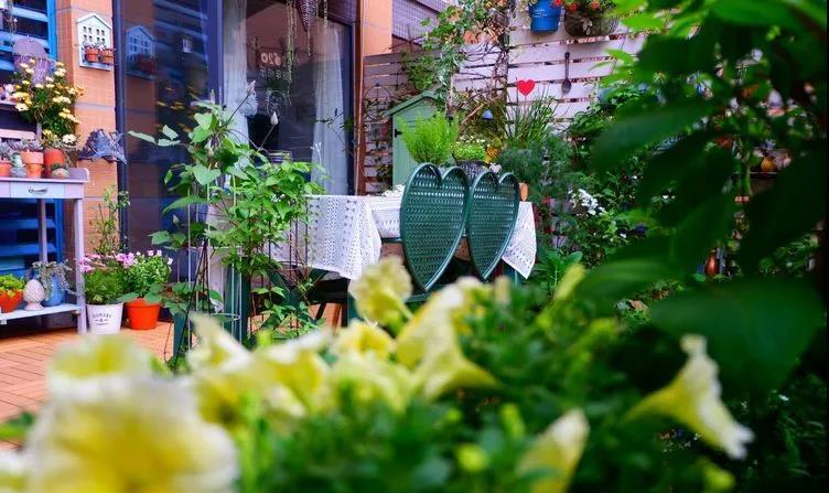 四年里，她就像个孩子，慢慢长大，一天一天发生着微妙的变化。
四年里，每个角落也发