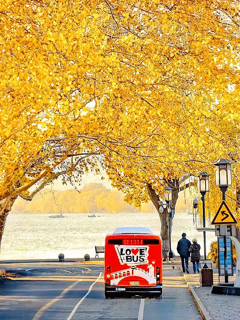 接下来的杭州，堪称国内旅行天花板‼️