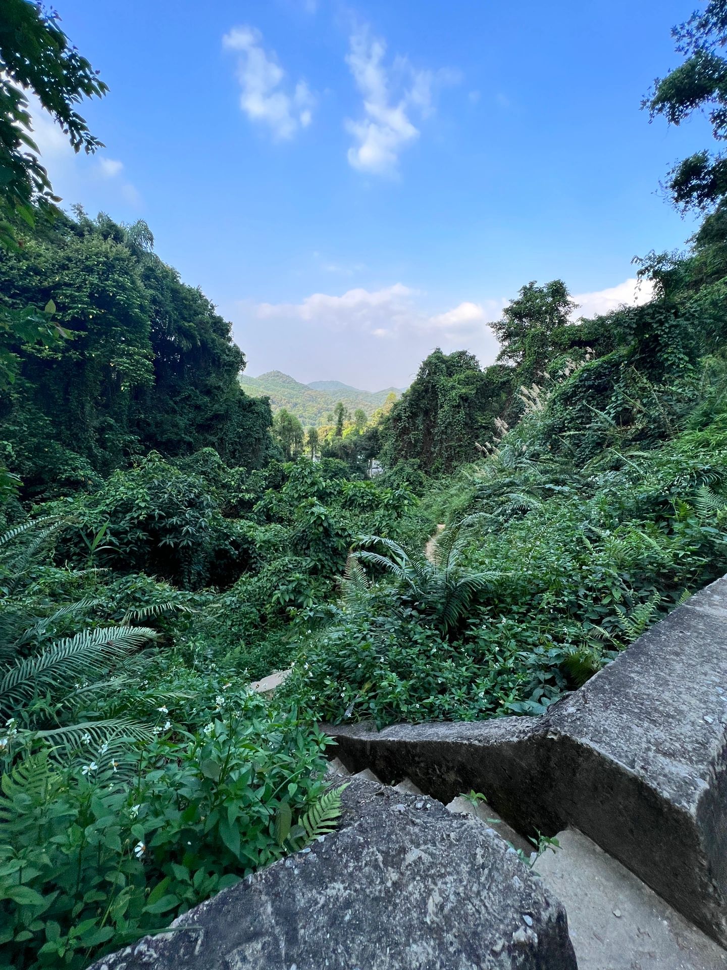 黄麻徒步、竹林避暑玩水