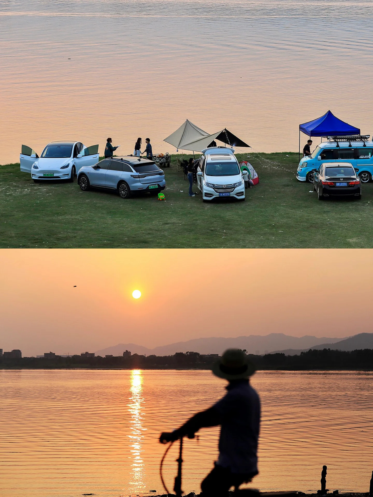 广佛露营地｜公交可直达，车能开到河边！