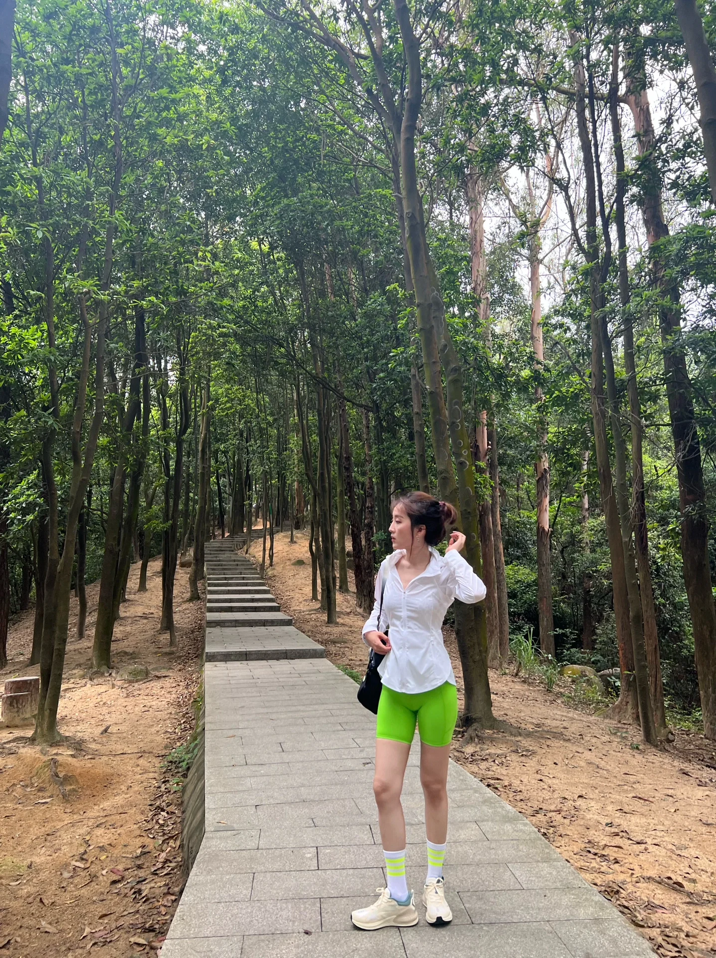 广州市内徒步爬山-火炉山森林公园