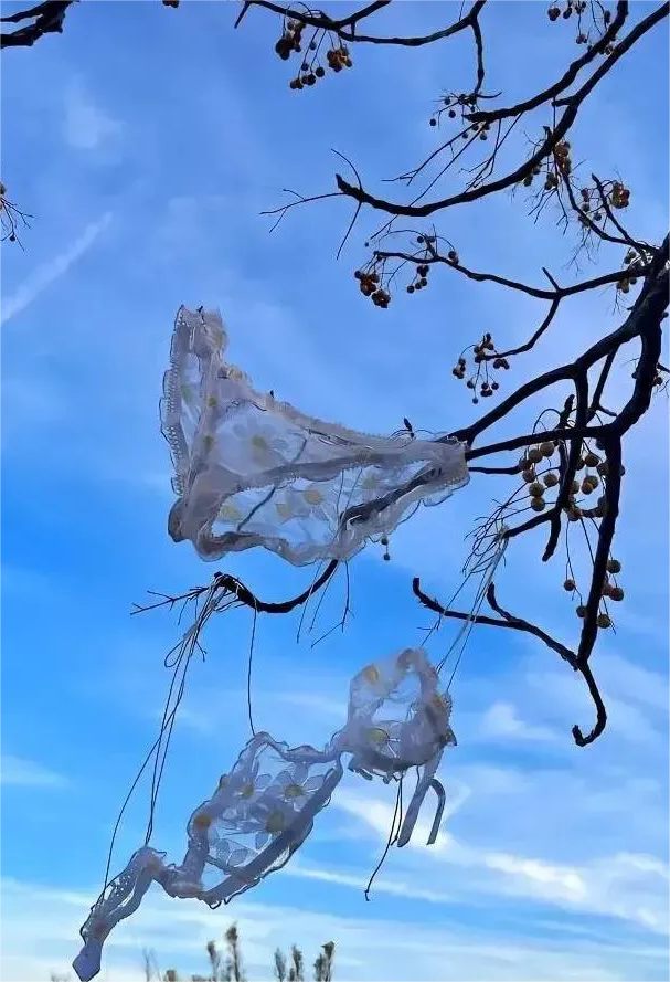 天空真的好蓝！