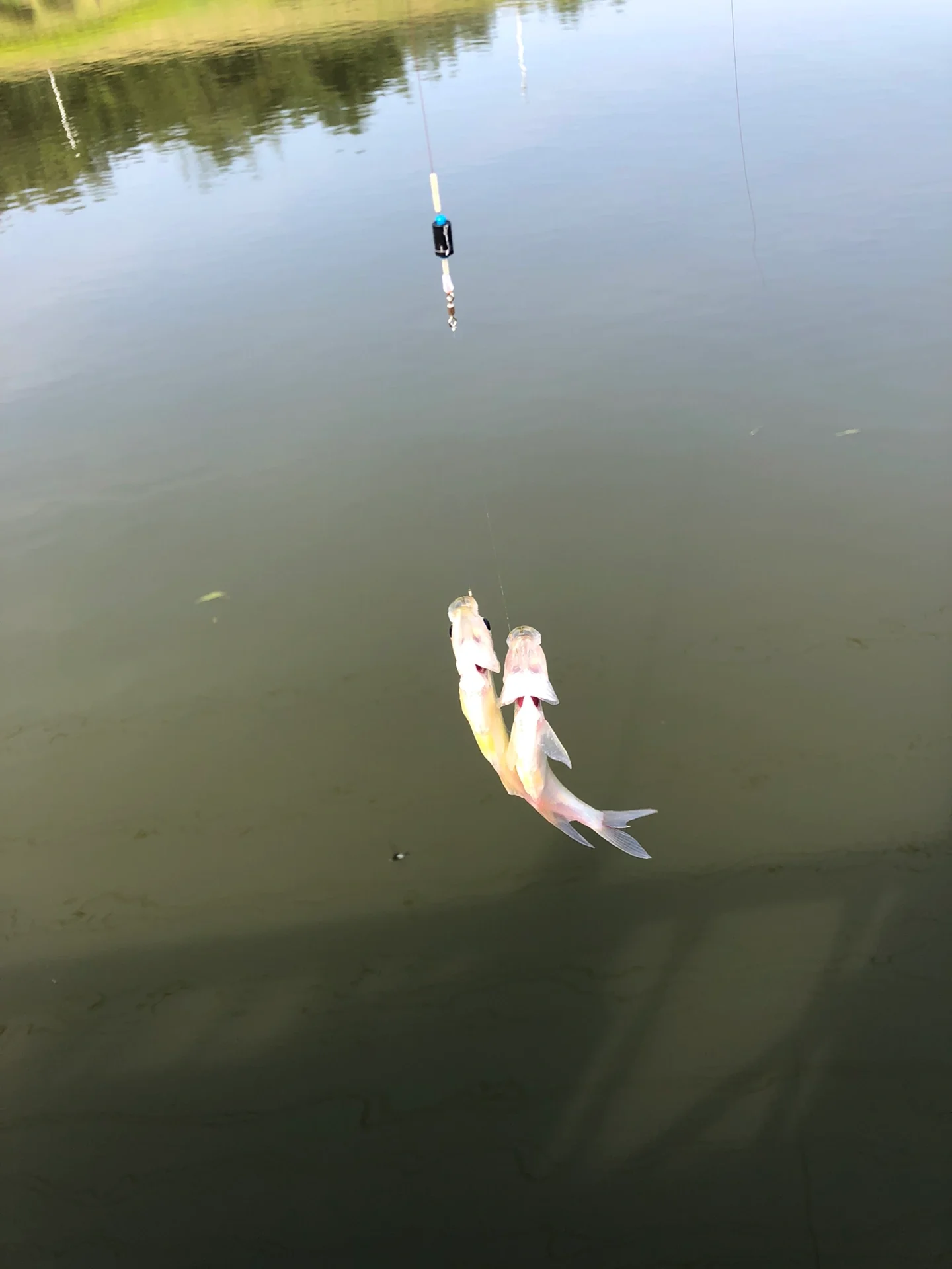 广州周末出游好去处｜体验钓鱼露营农家乐