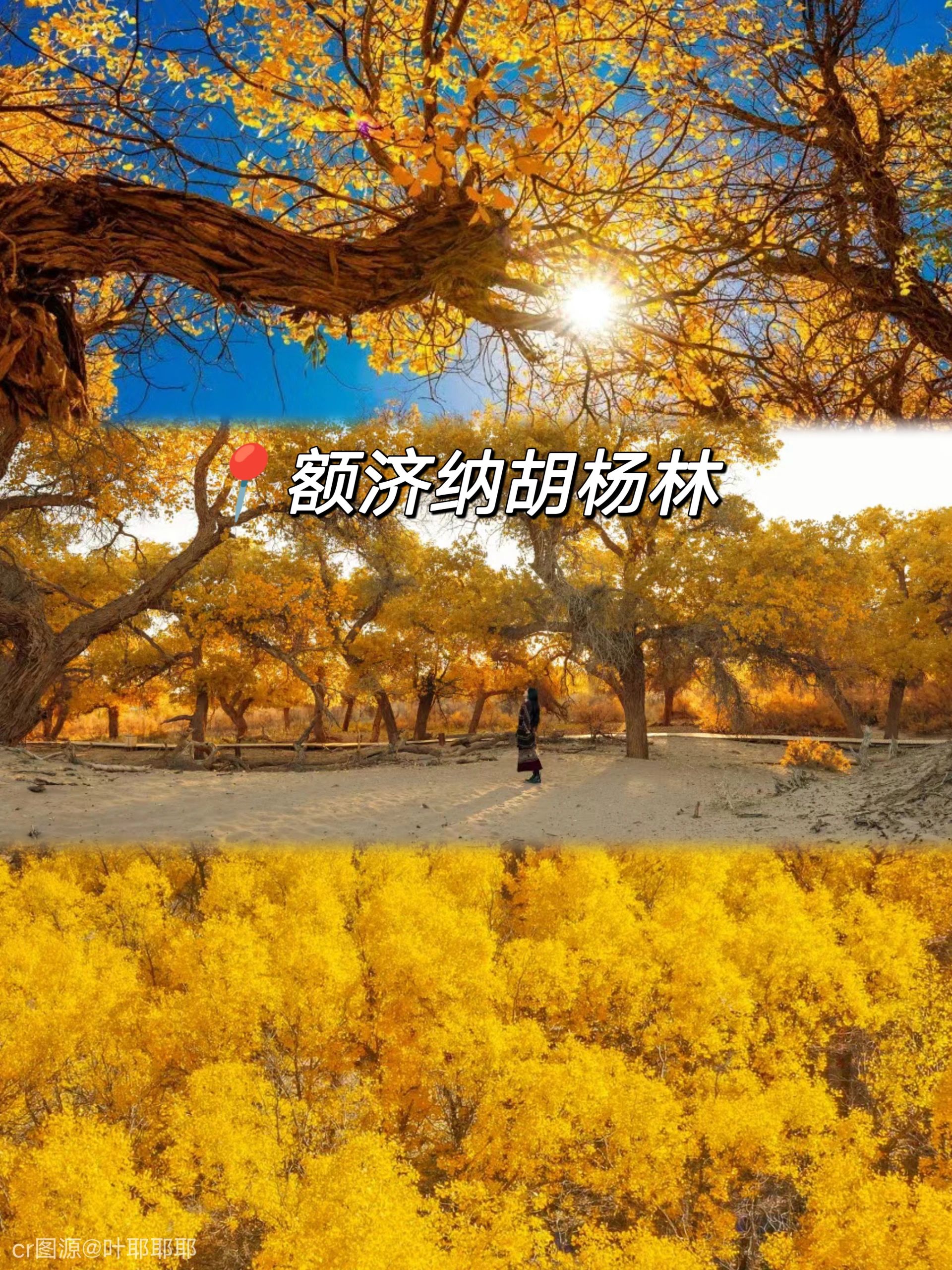 额济纳胡杨林精品小团三日纯玩