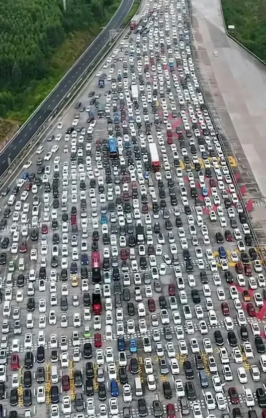 知道该买什么颜色的车了吧？
