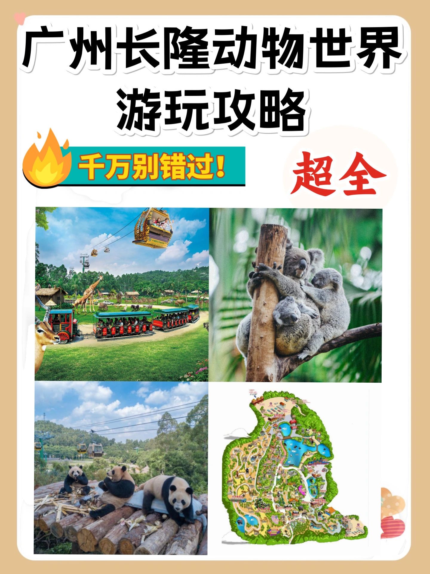 这个暑假广州长隆动物世界游玩攻略来拉