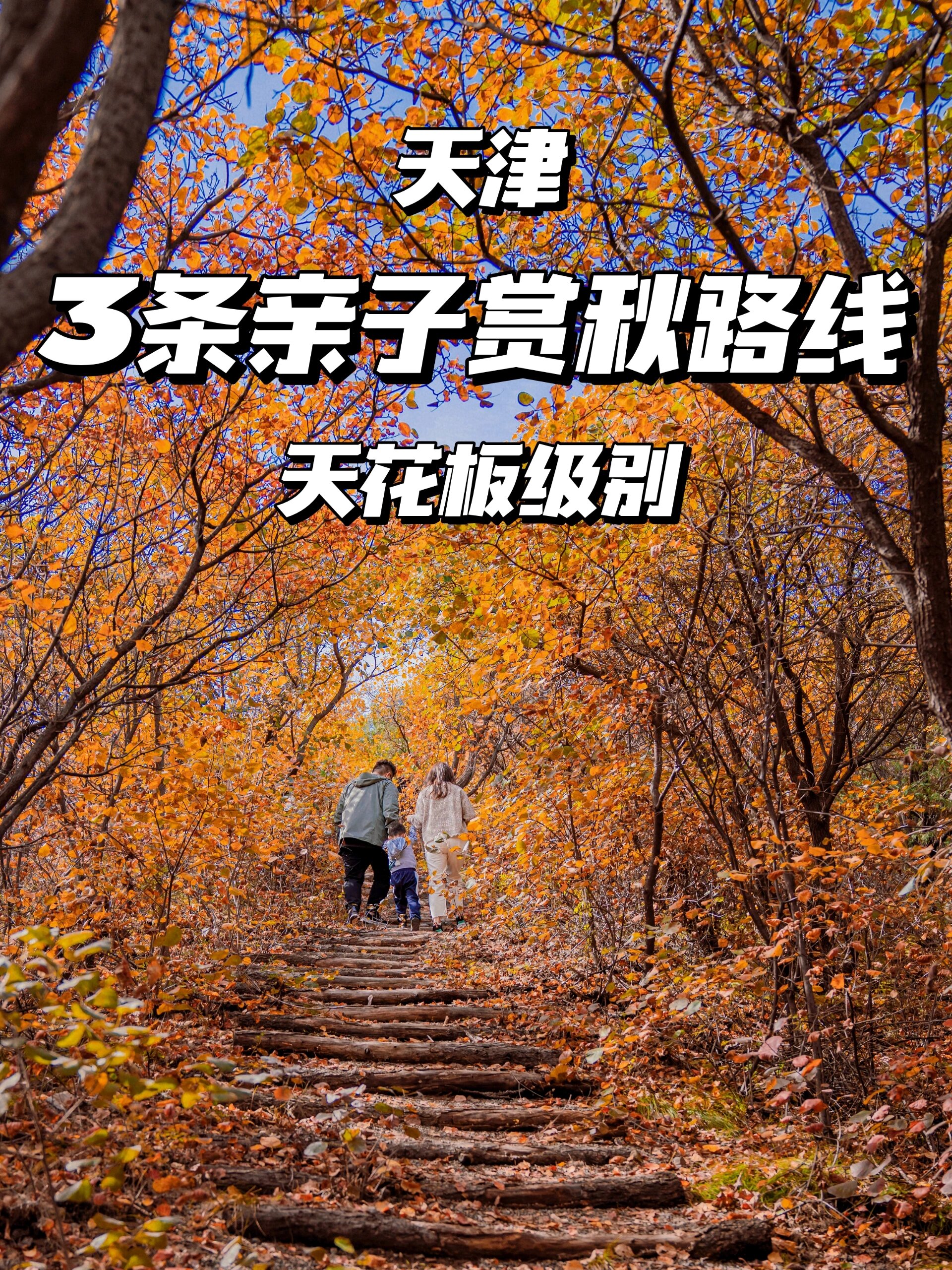 不出津丨条天花板级别亲子赏秋路线
