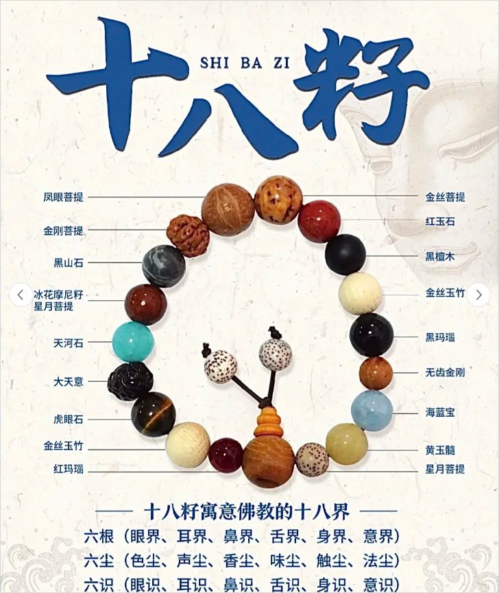 十八籽真假的区别！可能你们都被骗了