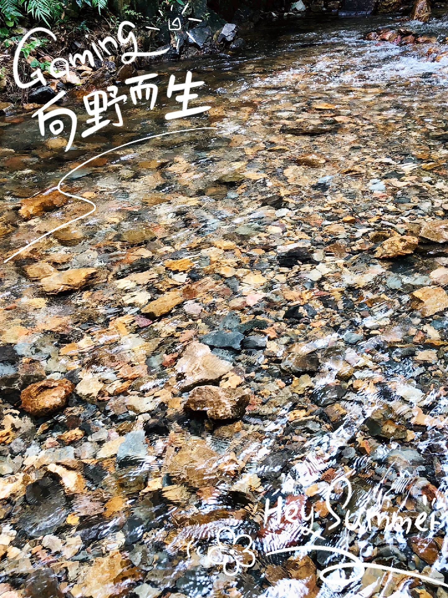 肇庆•葫芦田|溯溪露营就要玻璃水🏕️