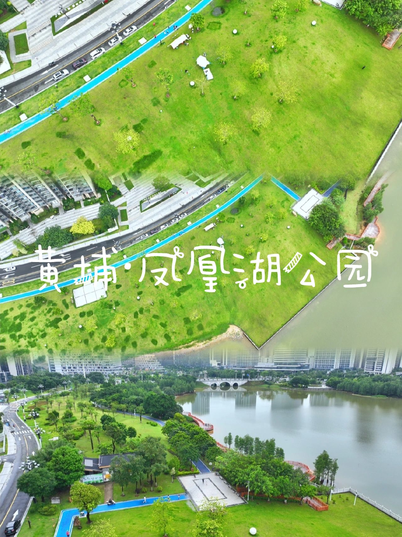 吸氧🌳广州发现一个超舒服的宝藏露营公园