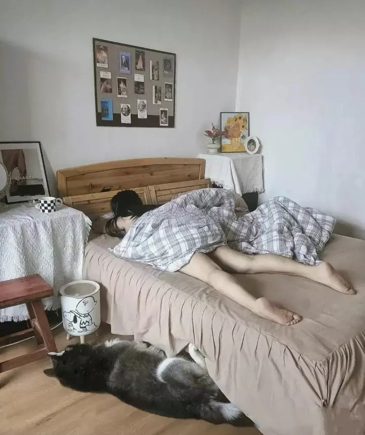 一份宁静，一份安逸，这便是家的味道……
