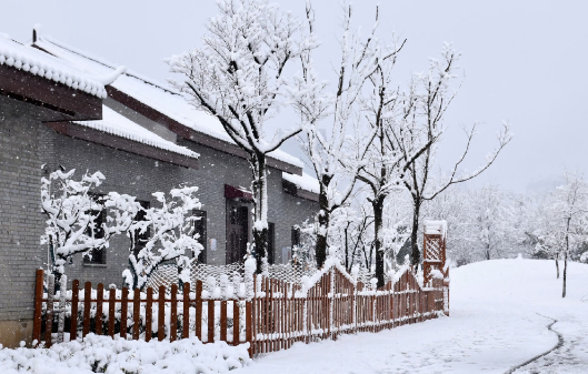一景一赏：码头潭的雪景
冬天来了，下雪还会远吗？一下雪，码头潭就成了传说。这个冬