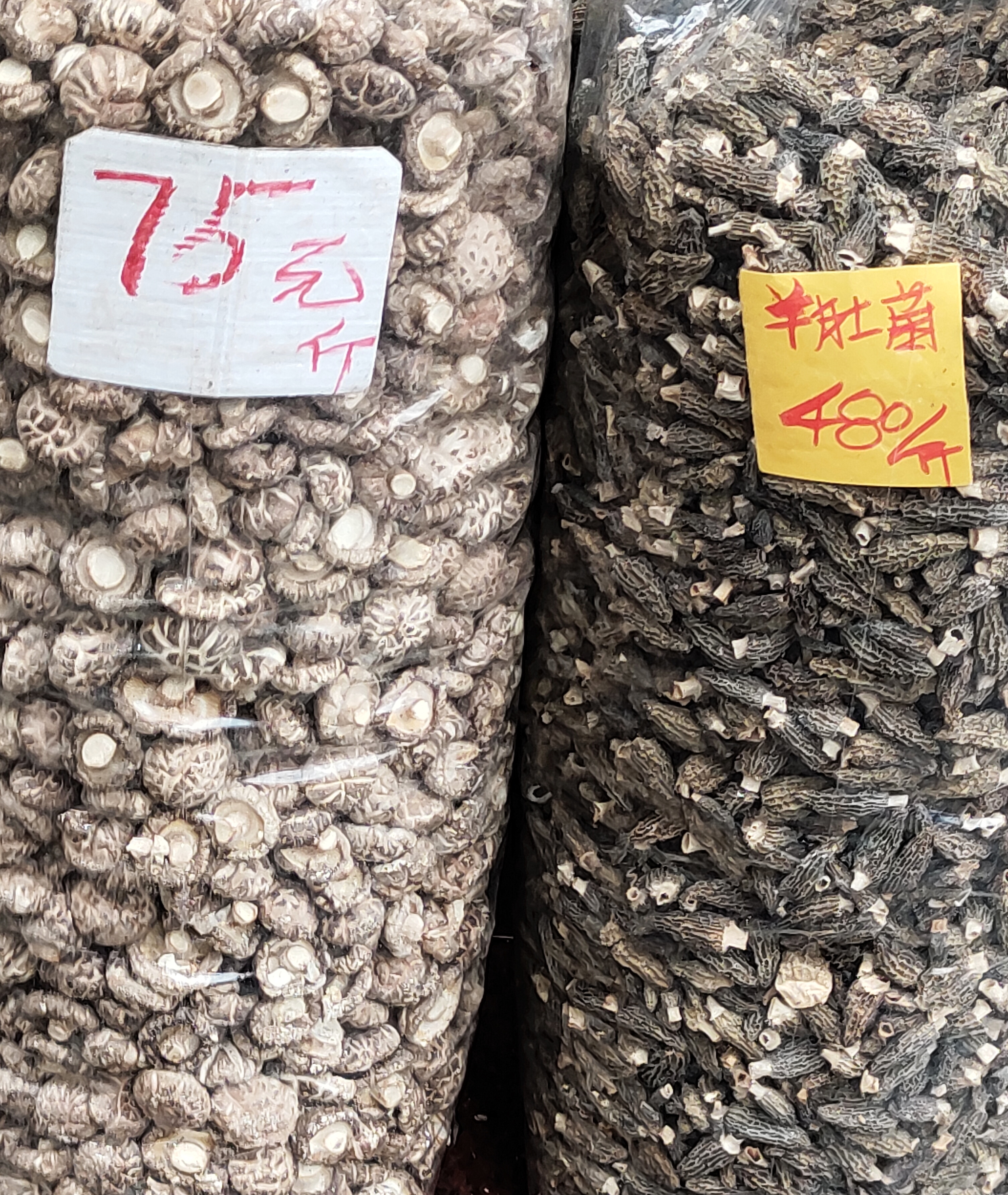 一级花菇和小个子羊肚菌摆在一起，都是种植的，花菇75一斤，小羊肚菌480一斤，大