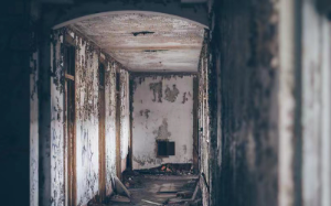 作为一名警察，费尽心力将虐杀案的残忍凶犯抓捕后，竟然发现他的杀人记忆是被伪造的。