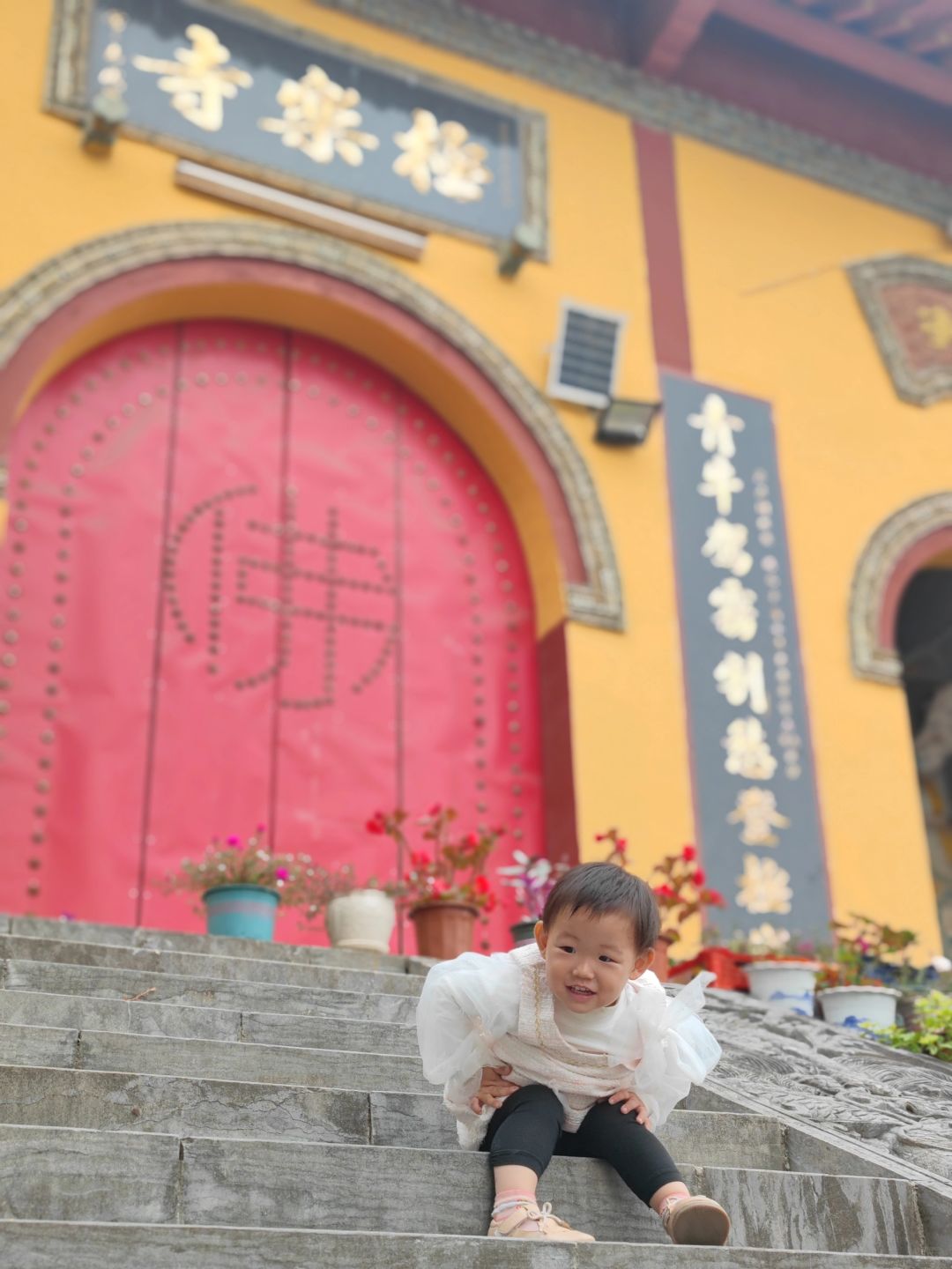 极乐寺打卡
极乐寺，原来叫白马寺，现在这里还有可以对居士开放听闻佛法的地方，很殊
