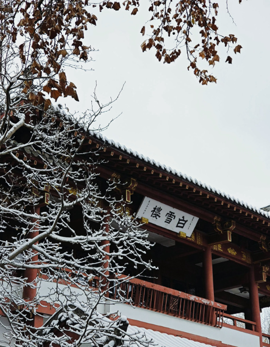 到濟南賞雪。