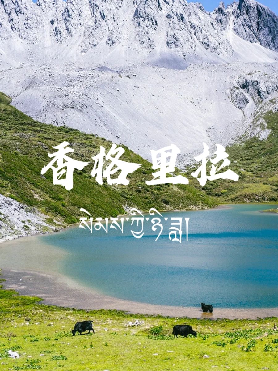 香格里拉懒人两日游🌙┃超详细游玩攻略
