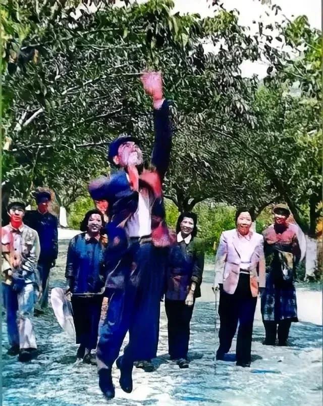 这是周恩来总理一跃而起，准备摘下一颗苹果时的照片。

照片中周恩来总理看到一颗苹