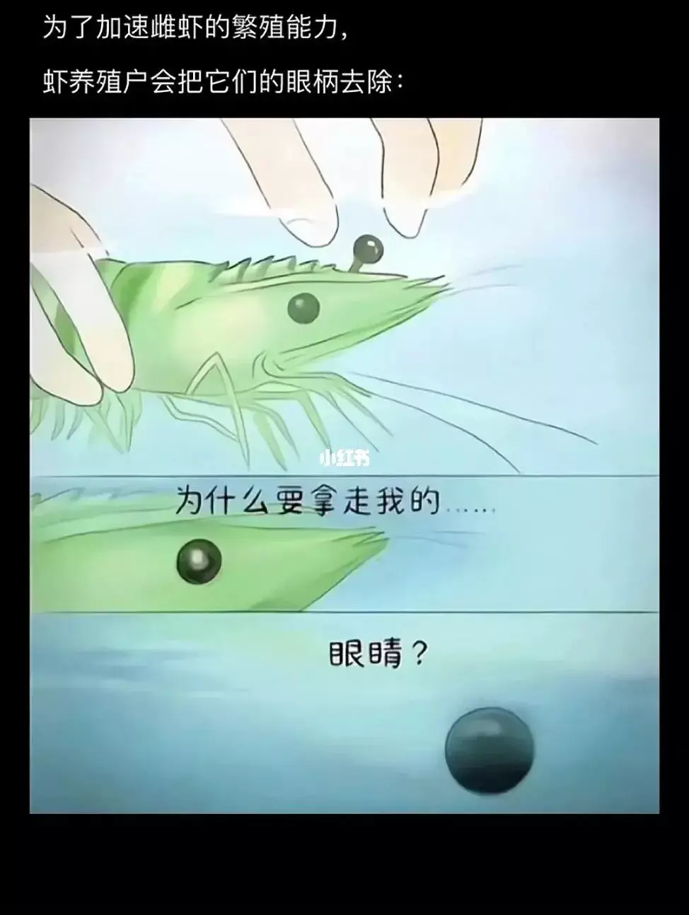 有没有学生物的来科普一下？