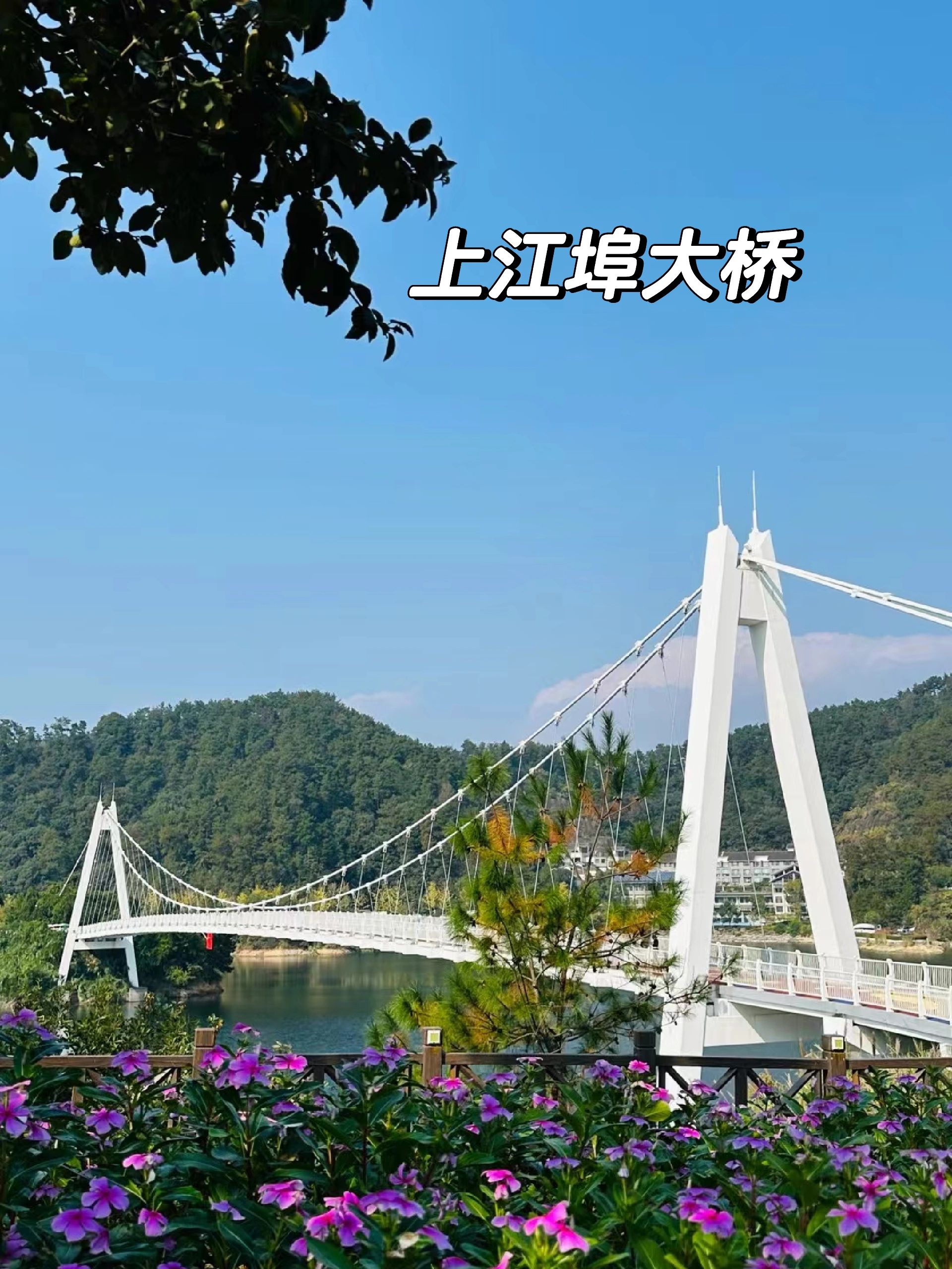 千岛湖骑行赏秋，一日环湖路线推荐