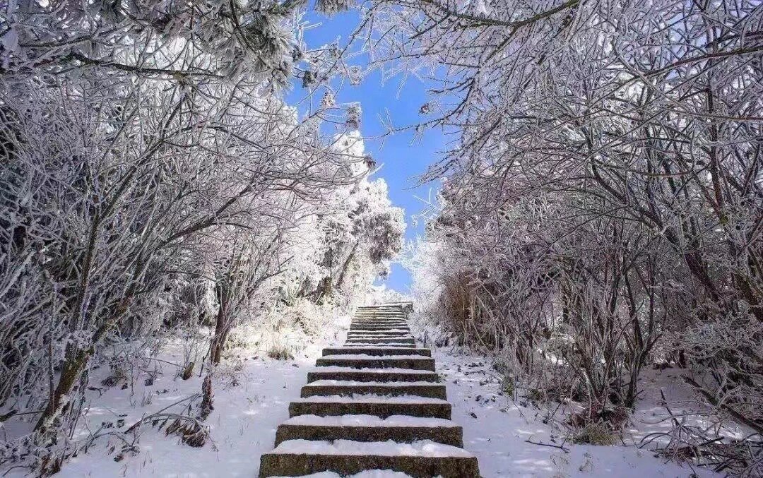 十二月衡山首场雾凇❄️攻略已备只等你来