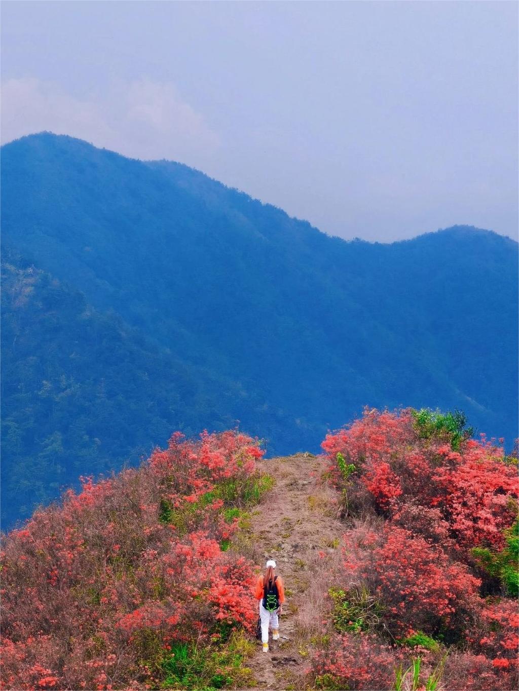 从化通天蜡烛 / 浪漫之约