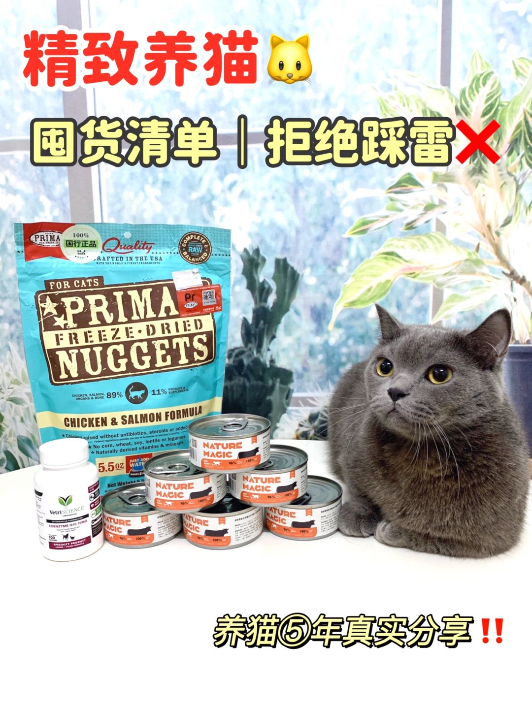 精致养猫｜囤货清单拒绝踩雷❌
五年养猫经验，每次入手都是精挑细选的，猫咪都特别爱