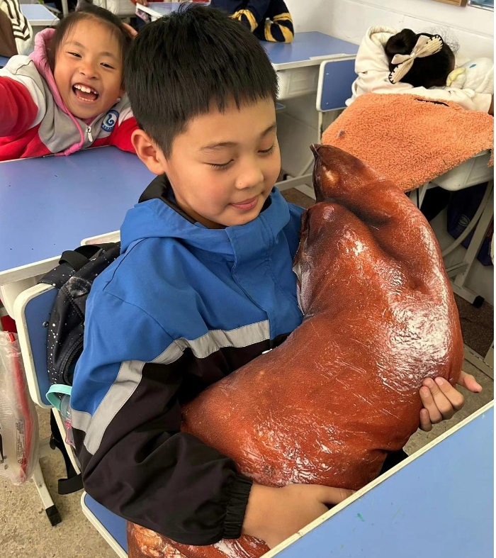 太可爱了！你肯定没见过小学生在学校的午休！
老师：真累！守着一群不可能睡觉的人