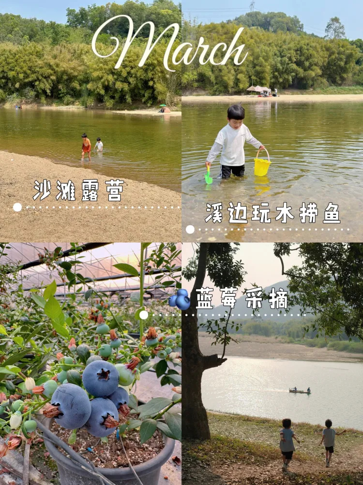 沙滩露营这个地方太宝藏了吧!!