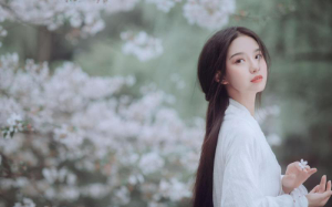 世人皆知太子心中有个白月光，却被迫娶了我这个南蛮之女