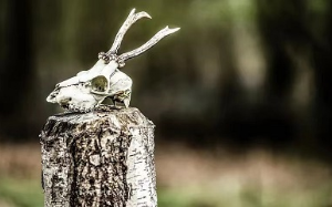 一种怪病席卷了我所在的小村庄，得了这种病的村民异常恐怖，无人生还，可这病就是冲着我们村来的。