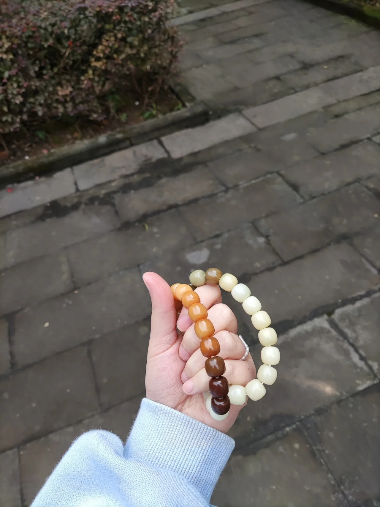 买菩提早该知道的那些事儿