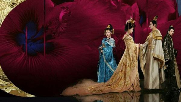 你要自由，我给你，木槿花开长相守