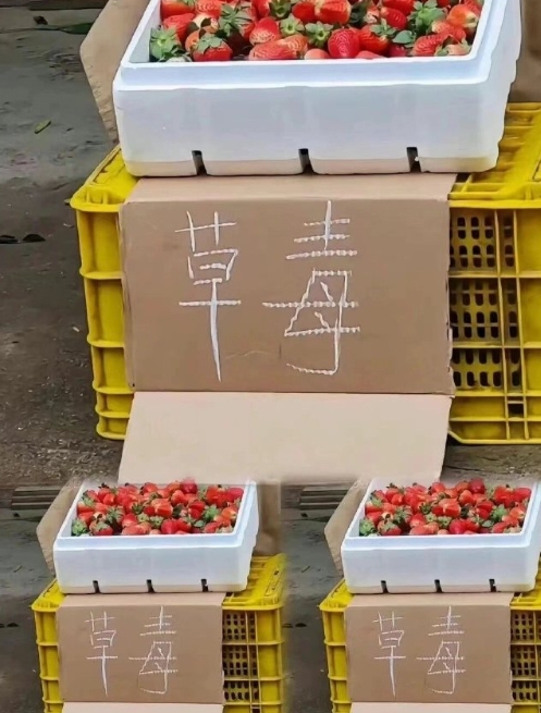 迟早被市场里的标签笑死 ​​​