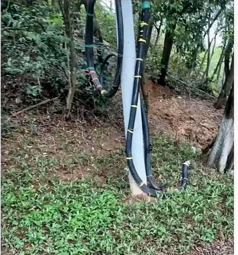 工地干活被这种蛇咬了两口，要不要去医院检查一下。
