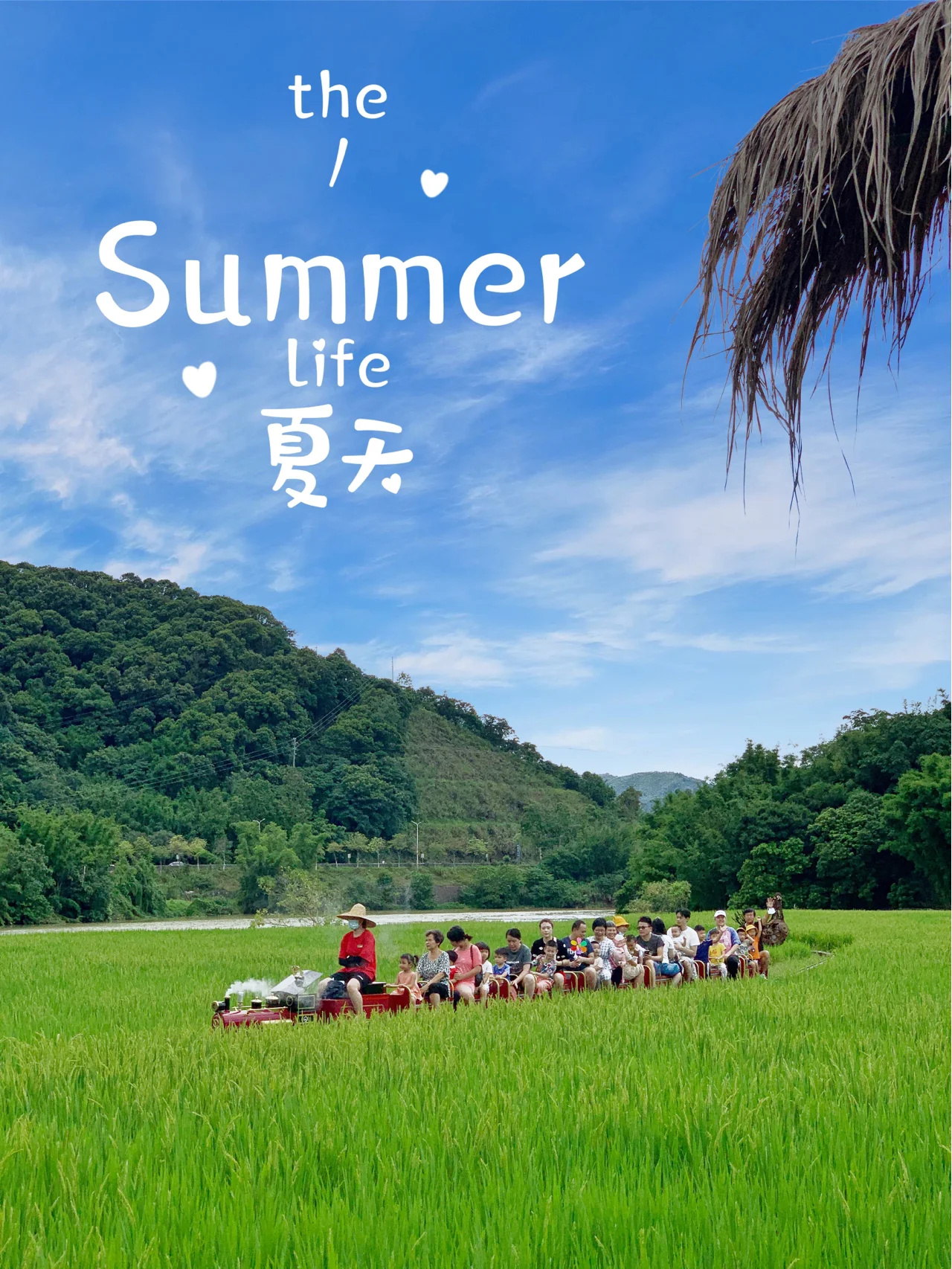 广州亲子游🌈稻田小火车&小溪玩水农庄