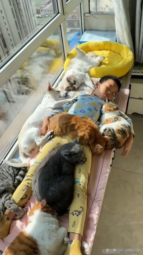 一个敢养，一个敢拍，

不得不说，主人家真是太牛了！